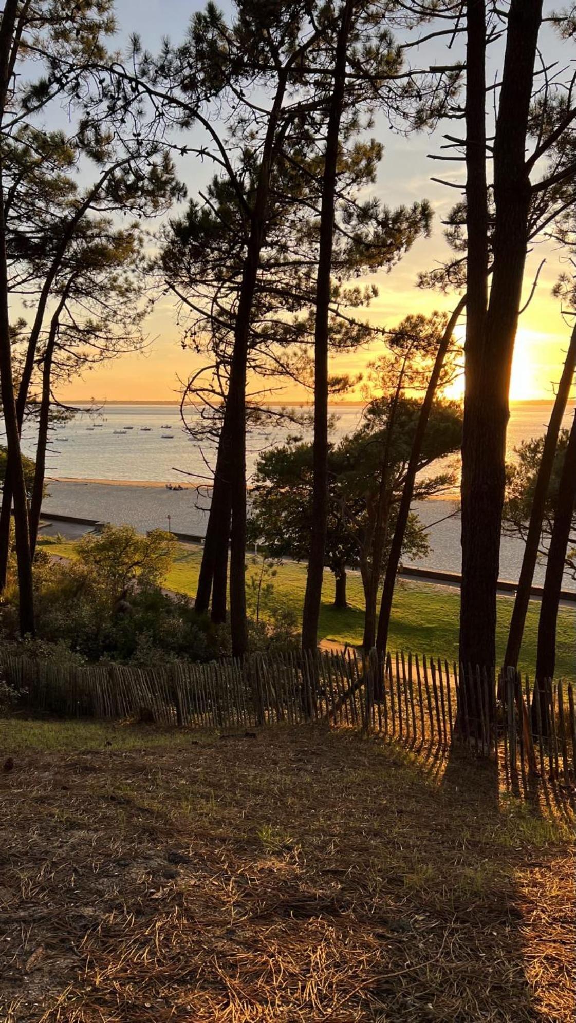 Hotel Particulier - Les Lodges Du Bassin D'Arcachon- Petit-Dejeuner Sur Demande- Prestations Haut De Gamme Gujan-Mestras Luaran gambar