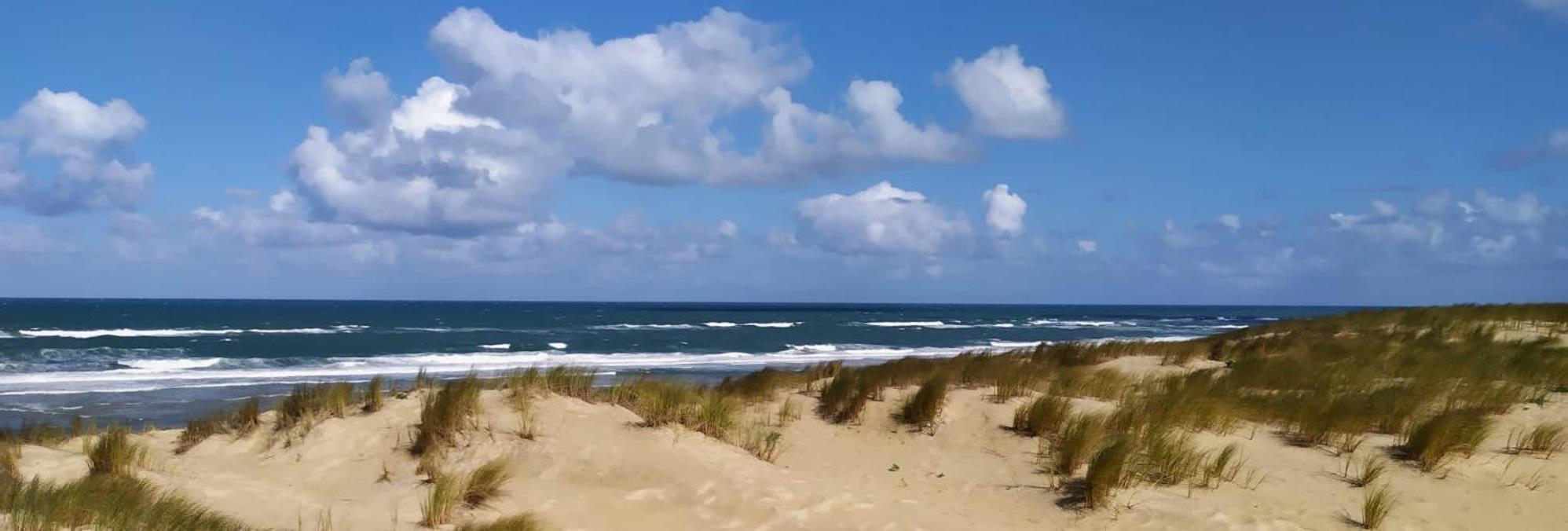 Hotel Particulier - Les Lodges Du Bassin D'Arcachon- Petit-Dejeuner Sur Demande- Prestations Haut De Gamme Gujan-Mestras Luaran gambar